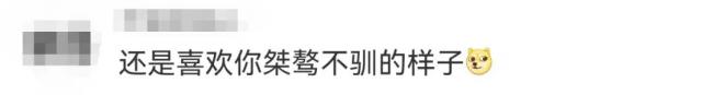 鐘薛高成“老賴”！累計被執(zhí)行金額超2800萬元！網(wǎng)友：看來紅薯不好賣啊