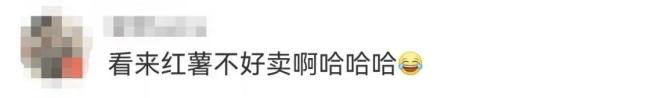 鐘薛高成“老賴”！累計被執(zhí)行金額超2800萬元！網(wǎng)友：看來紅薯不好賣啊