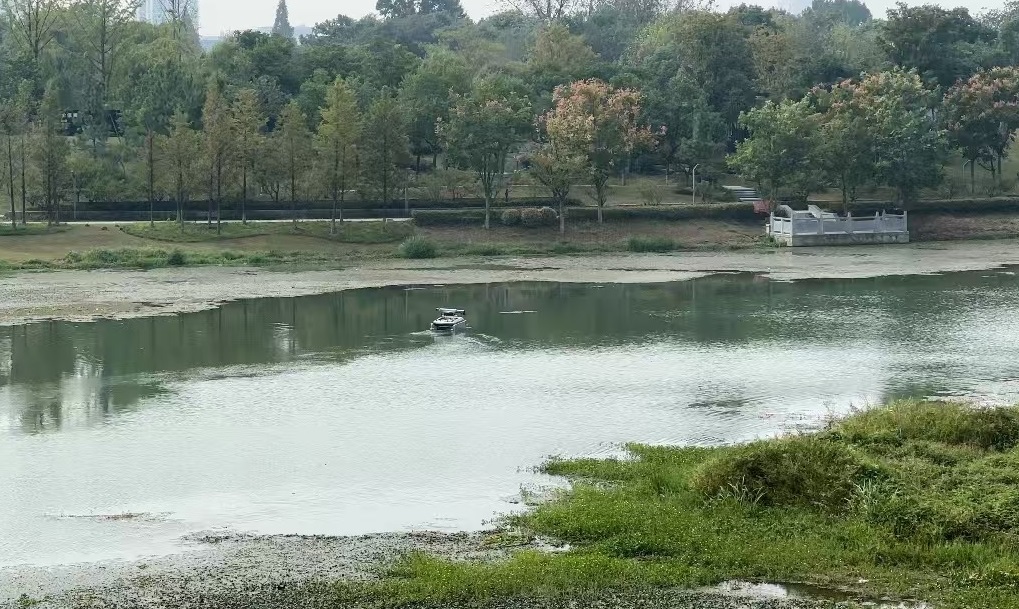 《財米油鹽》不定時vlog｜5G在“浙”里高飛 低空經濟抵達