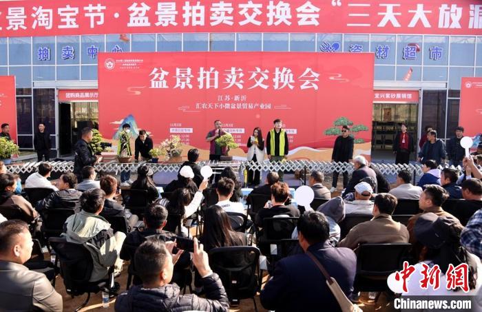 低空經(jīng)濟(jì)報(bào)：超百萬盆創(chuàng)意盆景匯聚江蘇新沂參加盆景貿(mào)易發(fā)展大會